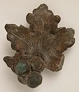 Grapes and Grape Leaf by Unknown Artist