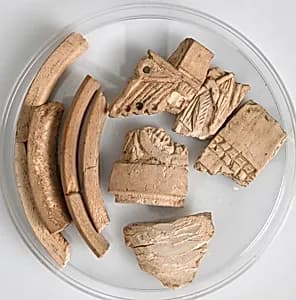 Ivory Fragments by Unknown Artist