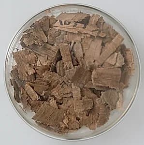 Papyri Fragments by Unknown Artist