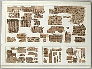 Papyri Fragments by Unknown Artist