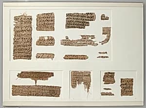 Papyri Fragments by Unknown Artist