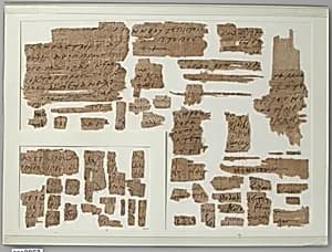 Papyri Fragments by Unknown Artist