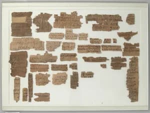Papyri Fragments by Unknown Artist