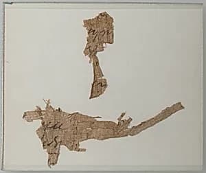 Papyri Fragments by Unknown Artist