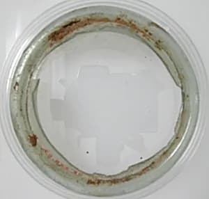 Rim of a Vessel by Unknown Artist