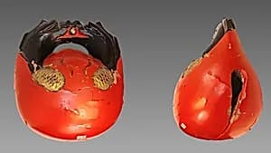 Mokugyo by Unknown Artist