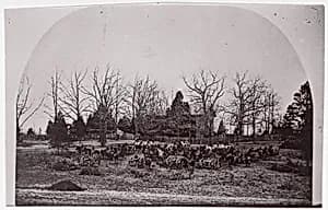 [Cache of Cannon]. Brady album, p. 123 by Mathew B. Brady|Unknown
