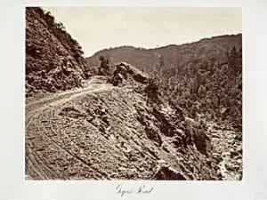 Geyser Road by Carleton E. Watkins