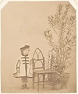 La ?aurier rose by Pierre-Louis Pierson