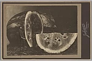 Portrait of Johnson