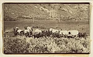 Mormon Emigrant Train, Echo Canyon