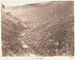 The Lonely Glen by John Dillwyn Llewelyn