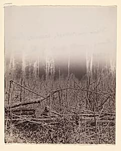 [The Wilderness Battlefield] by Unknown