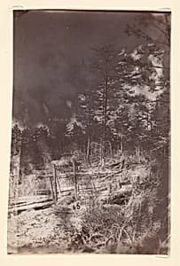 [The Wilderness Battlefield] by Unknown
