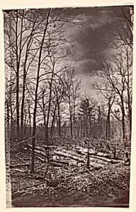 [The Wilderness Battlefield] by Unknown