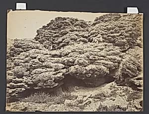 Tufa Rocks, Pyramid Lake, Nevada by Timothy H. O'Sullivan