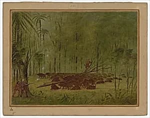 A Fight with Peccaries - Caribbe by George Catlin