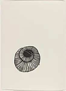 Armadillo