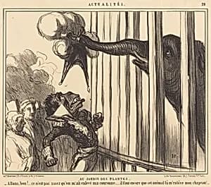 Au Jardin des Plantes by Honoré Daumier