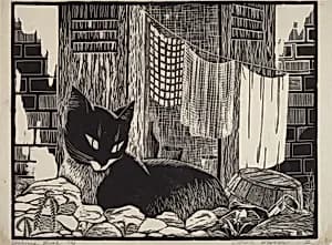 Backyard Cat (large version)