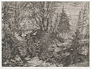 Birches