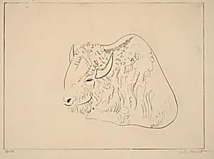 Bison II