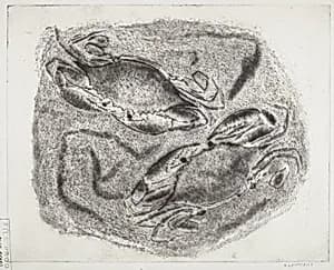 Blue Crabs