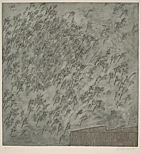 Brízy (Birch Trees)