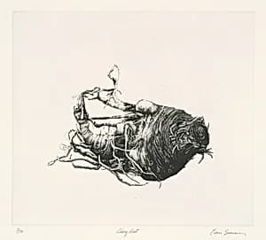 Celery Root