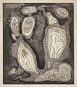 Cells