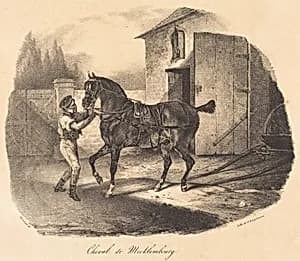 Cheval de Mecklembourg by Théodore Gericault