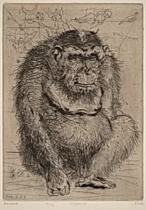 Portrait of Mordecai Moreh