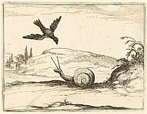 Crow and Snail by Jacques Callot