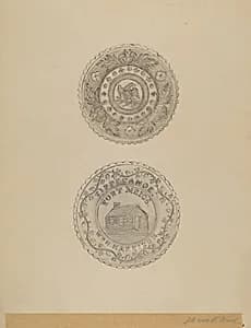 Cup Plates by Paul Ward