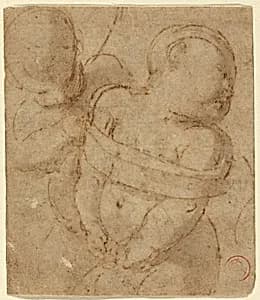 Cupid Bound by Attributed to Raphael