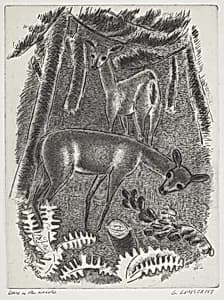 Deers in the Woods