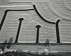 Portrait of Marilyn Bridges