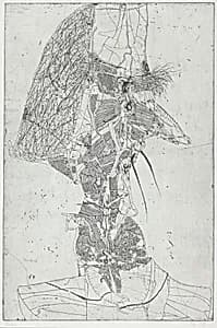 Don Quixote