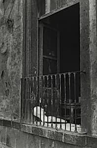 El Abandonado (The Abandoned)