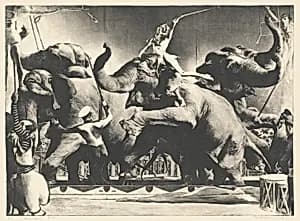 Elephant Act