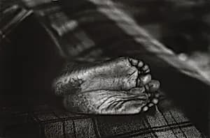 Ellen's Feet