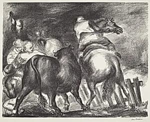 Escaped Bull
