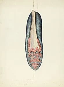 Evening Slipper by William Kieckhofel