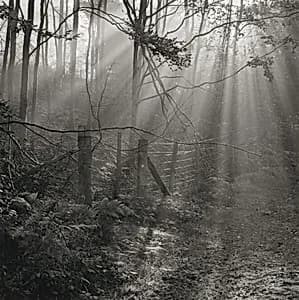 Fence, Russell's Enclosure