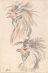 Fighting Cock by Johann Rudolph Schellenberg