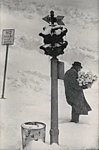 First Day of Spring