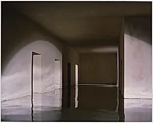 Flooded Hallway