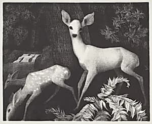 Forest Folk