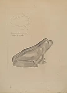 Frog Door Stop by Donald Streeter