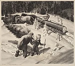 Getting the Christmas Tree